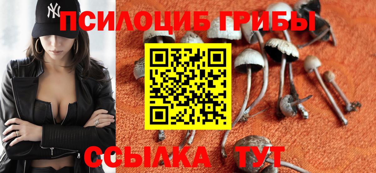 Псилоцибиновые грибы GOLDEN TEACHER Вичуга