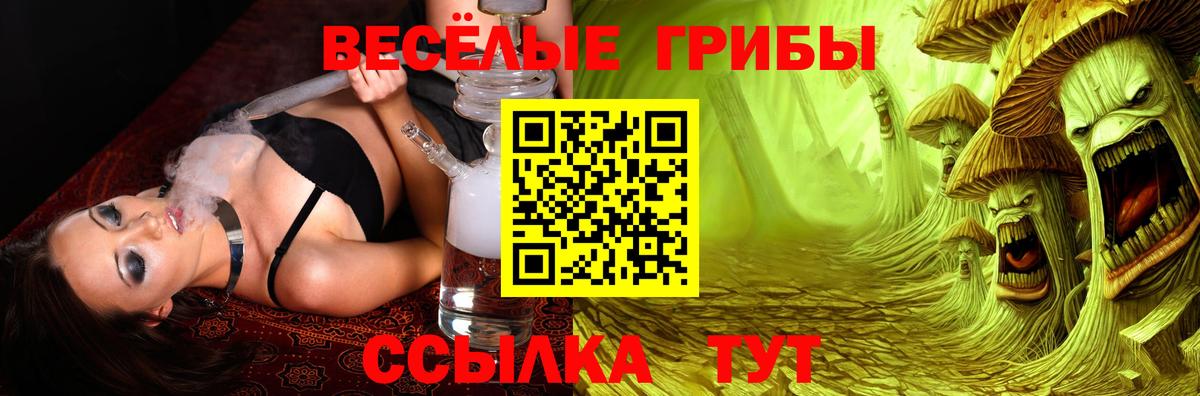 Псилоцибиновые грибы MAGIC MUSHROOMS  как найти наркотики  Вичуга  Вход с VPN 